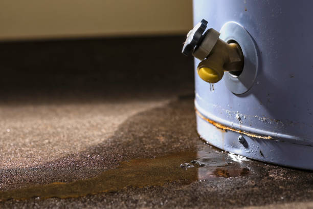 Best Professional water damage repair  in Atkins, IA