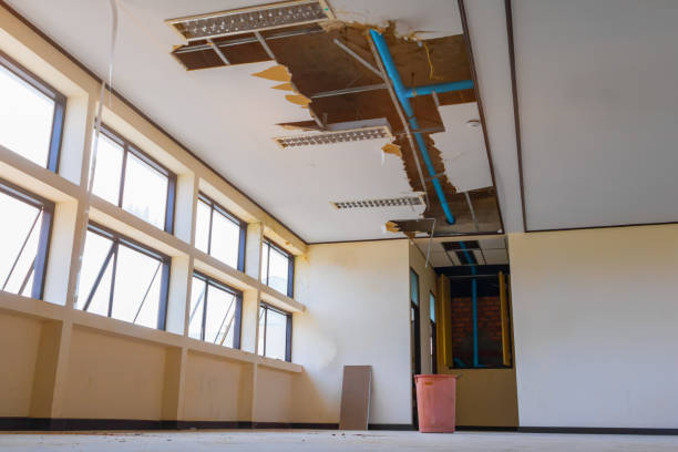 Best Ceiling water damage repair  in Atkins, IA