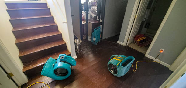 Best Water damage restoration near me  in Atkins, IA