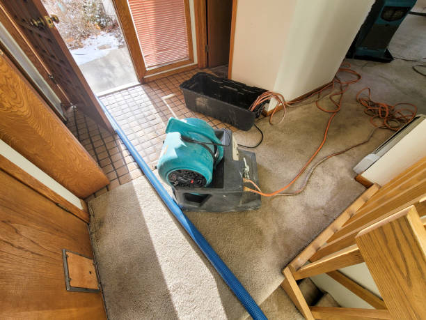 Best Emergency water damage restoration  in Atkins, IA