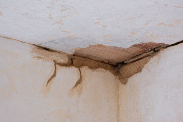 Best Mold removal after water damage  in Atkins, IA