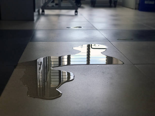 Best 24/7 water damage repair  in Atkins, IA